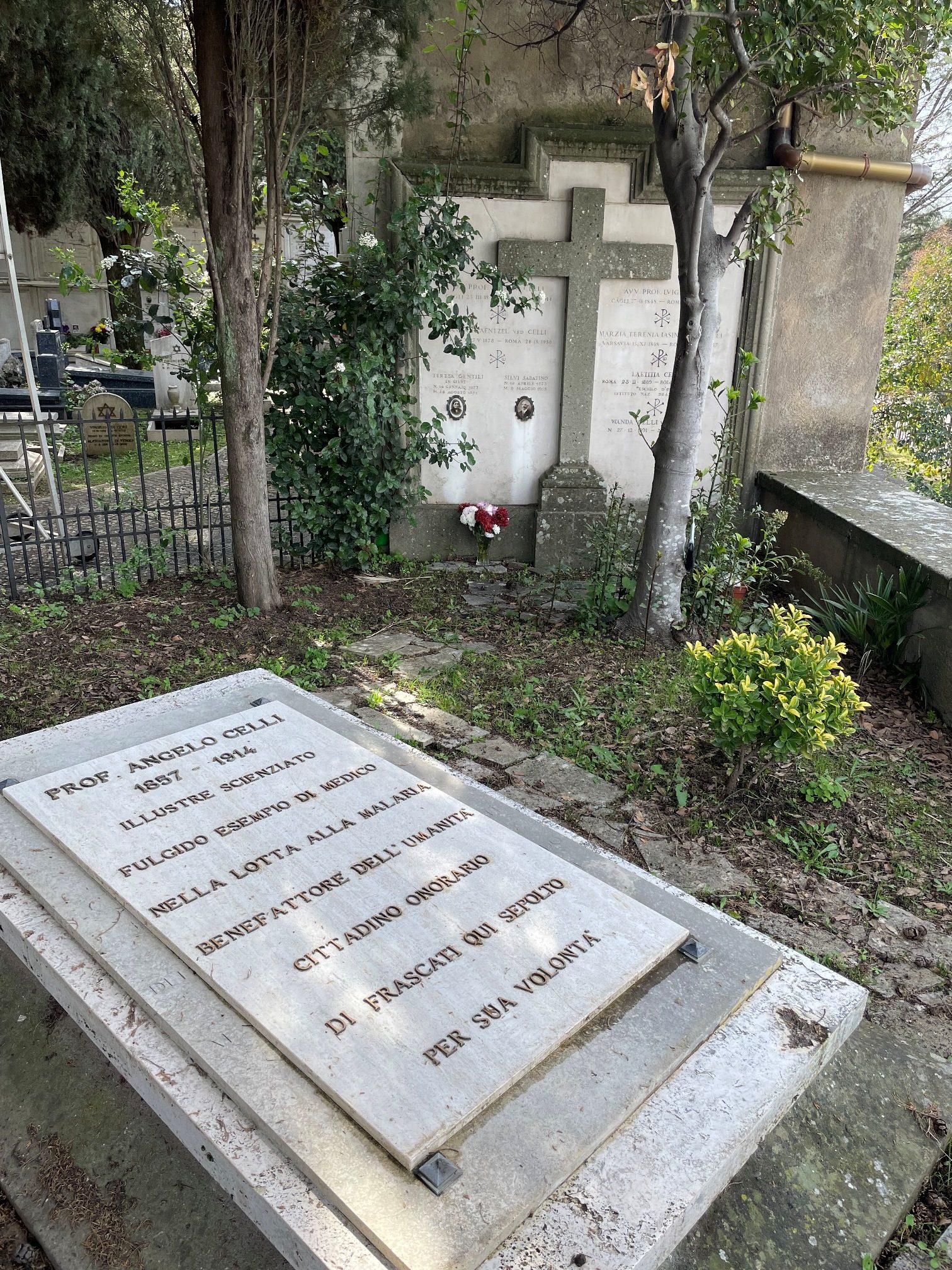 Angelo Celli and Anna Fraentzel's tomb, Frascati (by Giulia Lenci) - 01.jpeg